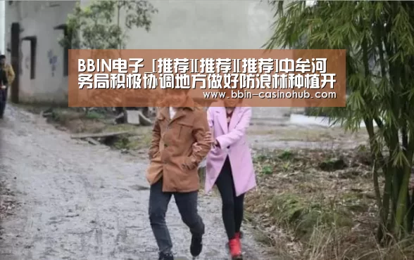BBIN官网