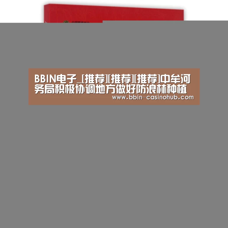 BBIN电子