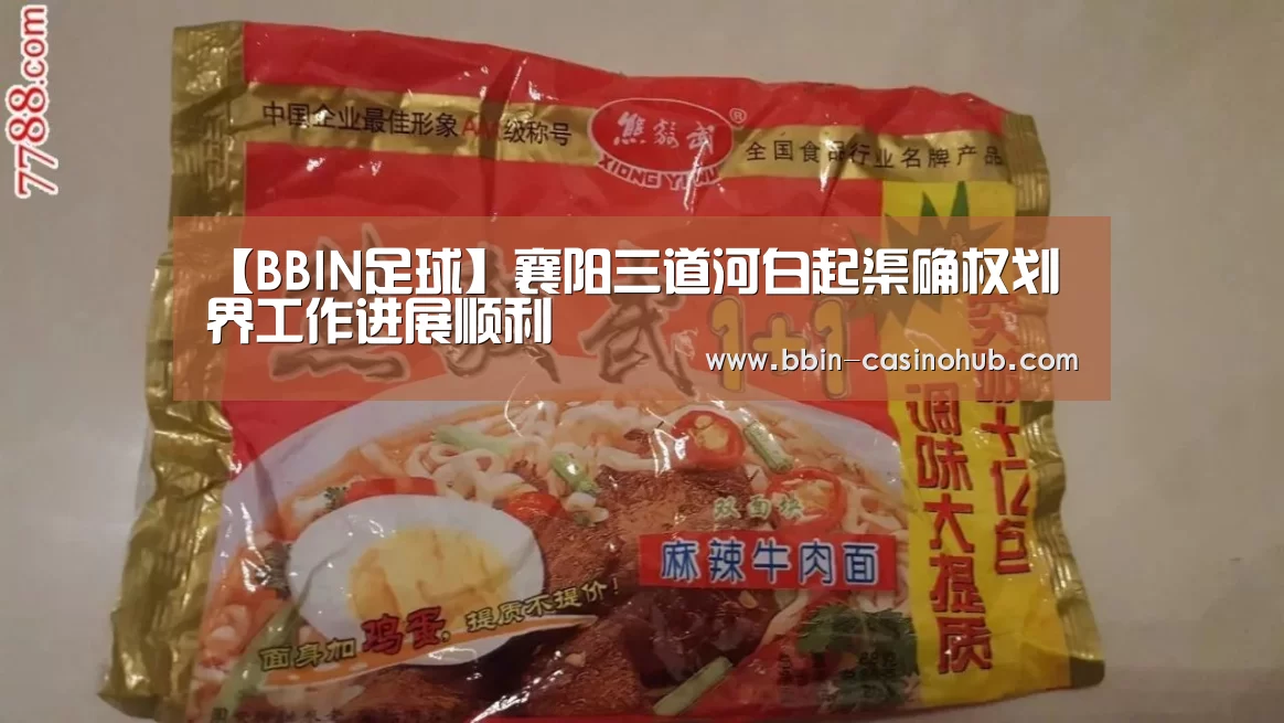 【BBIN足球】襄阳三道河白起渠确权划界工作进展顺利(图2) BBIN官网
