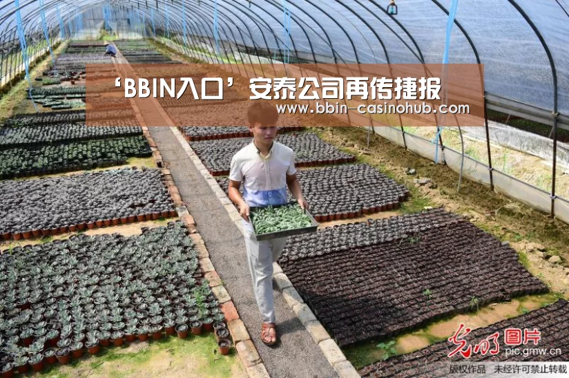 ‘BBIN入口’安泰公司再传捷报(图1) BBIN入口