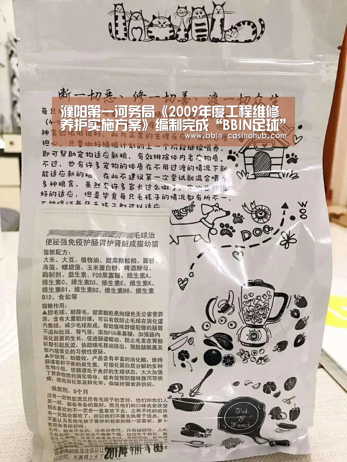 濮阳第一河务局《2009年度工程维修养护实施方案》编制完成“BBIN足球”(图1) BBIN官网