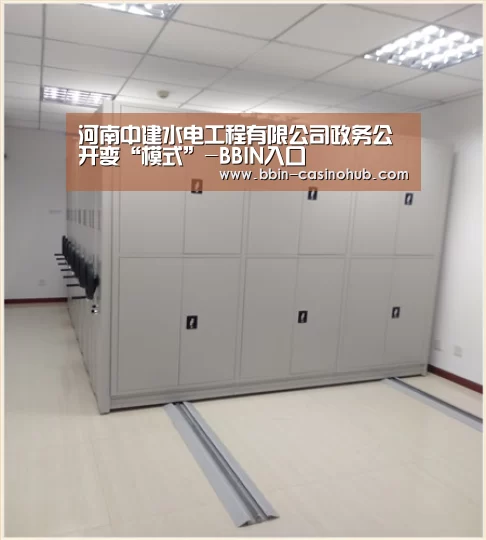 河南中建水电工程有限公司政务公开变“模式”-BBIN入口(图2) BBIN入口